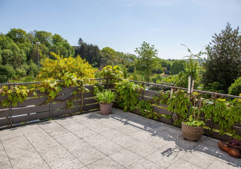 ...mit tollem Blick ins Grüne