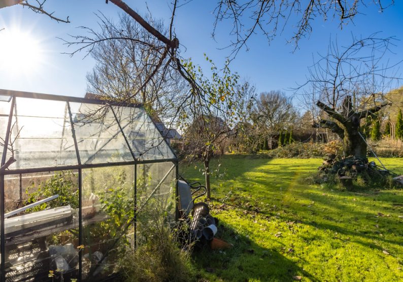 Garten
